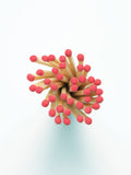Vintage Apothecary Red Matches: Red