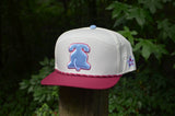 Philadelphia Baseball Vintage Red Snapback Hat Philly