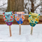 Pollinator Seed Pop (Single)