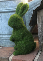 Moss Grass Sitting Rabbit